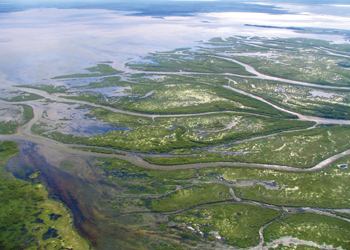 Saskatchewan River